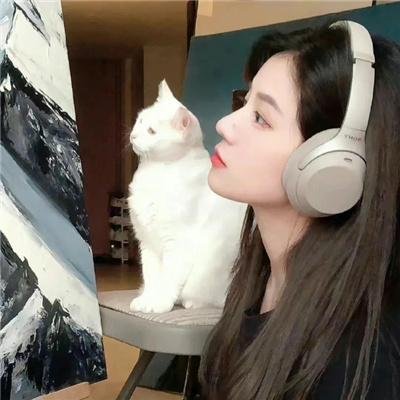 雾中系铃人