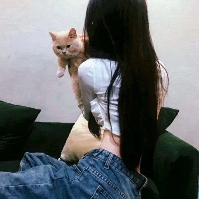 篡位