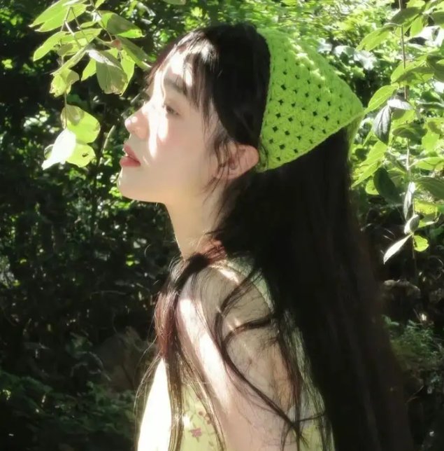 白鹭
